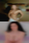 nolddambrose215, 